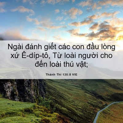 Picture 06 - Thánh Thi 135:8 VIE - Ngài đánh giết các con đầu lòng xứ - Bible Verse Picture
