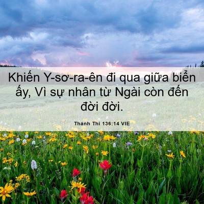 Picture 06 - Thánh Thi 136:14 VIE - Khiến Y-sơ-ra-ên đi qua giữa biển ấy, - Bible Verse Picture