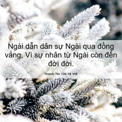 Picture 06 - Thánh Thi 136:16 VIE - Ngài dẫn dân sự Ngài qua đồng vắng, - Bible Verse Picture