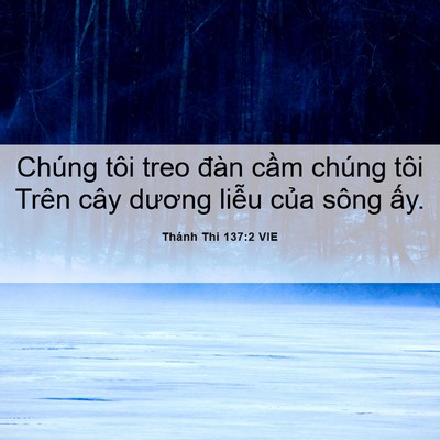 Picture 06 - Thánh Thi 137:2 VIE - Chúng tôi treo đàn cầm chúng tôi Trên - Bible Verse Picture