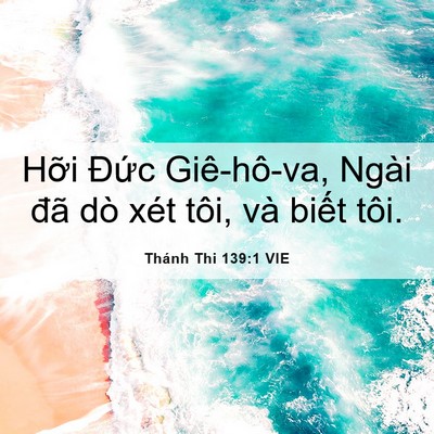 Picture 06 - Thánh Thi 139:1 VIE - Hỡi Đức Giê-hô-va, Ngài đã dò xét - Bible Verse Picture