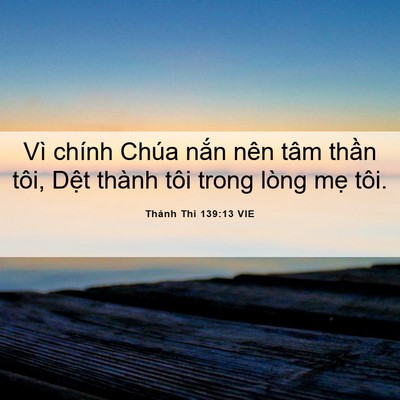 Picture 06 - Thánh Thi 139:13 VIE - Vì chính Chúa nắn nên tâm thần tôi, - Bible Verse Picture