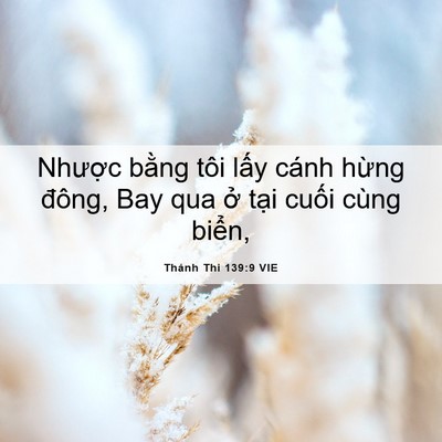 Picture 06 - Thánh Thi 139:9 VIE - Nhược bằng tôi lấy cánh hừng đông, - Bible Verse Picture
