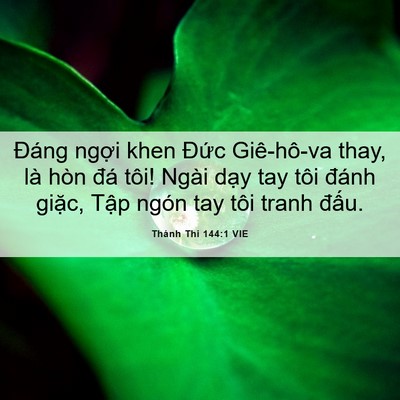 Picture 06 - Thánh Thi 144:1 VIE - Đáng ngợi khen Đức Giê-hô-va thay, là - Bible Verse Picture