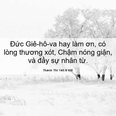 Picture 06 - Thánh Thi 145:8 VIE - Đức Giê-hô-va hay làm ơn, có lòng - Bible Verse Picture