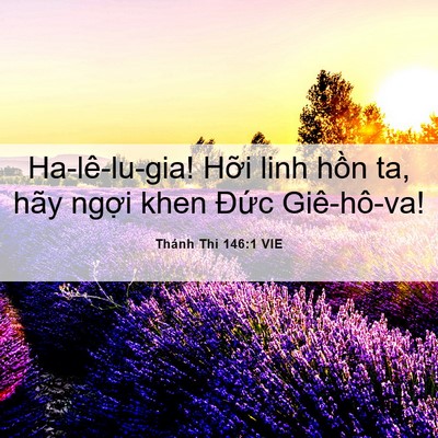 Picture 06 - Thánh Thi 146:1 VIE - Ha-lê-lu-gia! Hỡi linh hồn ta, hãy ngợi - Bible Verse Picture