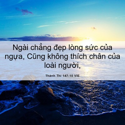 Picture 06 - Thánh Thi 147:10 VIE - Ngài chẳng đẹp lòng sức của ngựa, - Bible Verse Picture