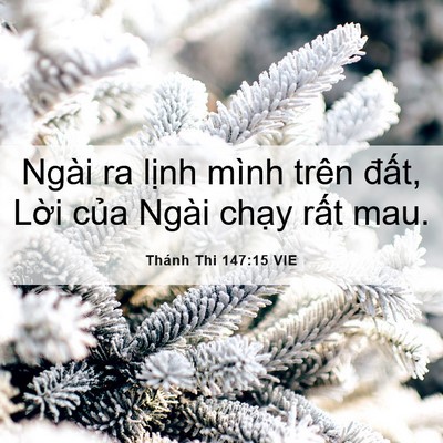 Picture 06 - Thánh Thi 147:15 VIE - Ngài ra lịnh mình trên đất, Lời của - Bible Verse Picture