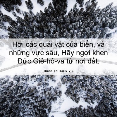 Picture 06 - Thánh Thi 148:7 VIE - Hỡi các quái vật của biển, và những - Bible Verse Picture