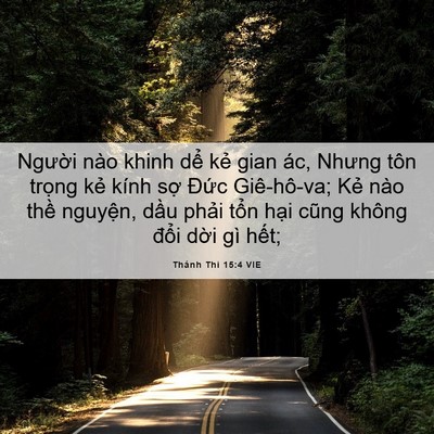 Picture 06 - Thánh Thi 15:4 VIE - Người nào khinh dể kẻ gian ác, Nhưng - Bible Verse Picture