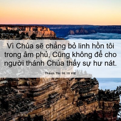 Picture 06 - Thánh Thi 16:10 VIE - Vì Chúa sẽ chẳng bỏ linh hồn tôi trong - Bible Verse Picture