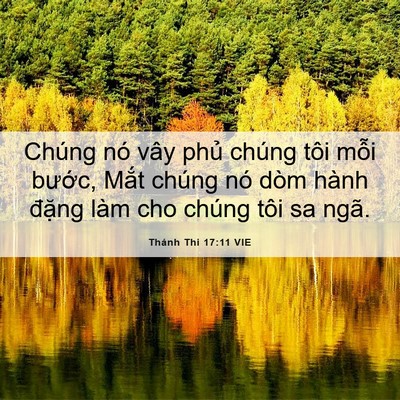 Picture 06 - Thánh Thi 17:11 VIE - Chúng nó vây phủ chúng tôi mỗi bước, - Bible Verse Picture
