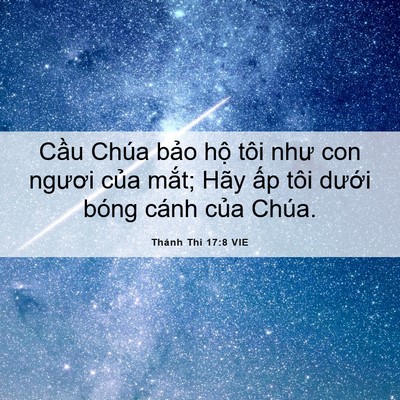 Picture 06 - Thánh Thi 17:8 VIE - Cầu Chúa bảo hộ tôi như con ngươi - Bible Verse Picture
