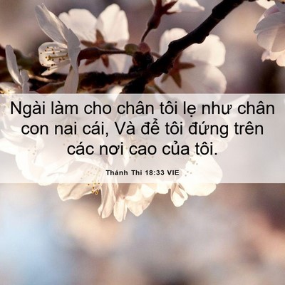 Picture 06 - Thánh Thi 18:33 VIE - Ngài làm cho chân tôi lẹ như chân con nai - Bible Verse Picture