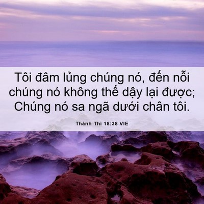 Picture 06 - Thánh Thi 18:38 VIE - Tôi đâm lủng chúng nó, đến nỗi chúng - Bible Verse Picture