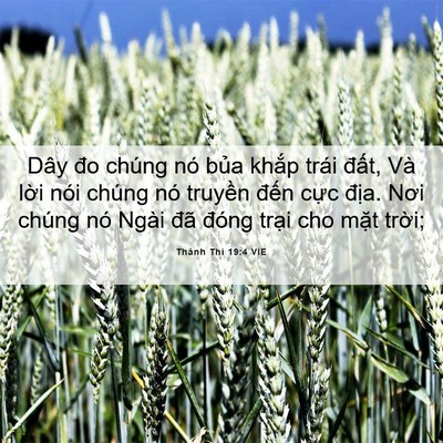 Picture 06 - Thánh Thi 19:4 VIE - Dây đo chúng nó bủa khắp trái đất, - Bible Verse Picture