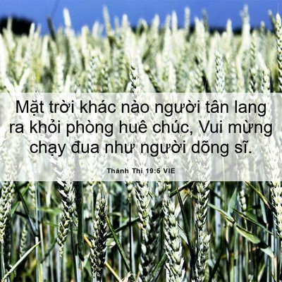 Picture 06 - Thánh Thi 19:5 VIE - Mặt trời khác nào người tân lang ra - Bible Verse Picture