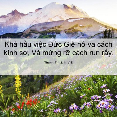 Picture 06 - Thánh Thi 2:11 VIE - Khá hầu việc Đức Giê-hô-va cách kính - Bible Verse Picture