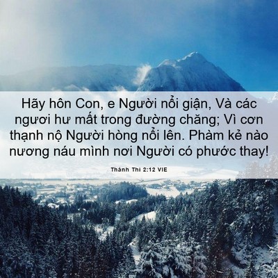 Picture 06 - Thánh Thi 2:12 VIE - Hãy hôn Con, e Người nổi giận, Và các - Bible Verse Picture