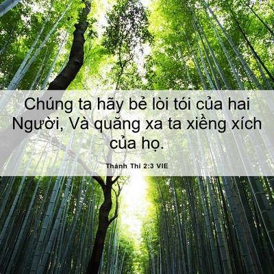 Picture 06 - Thánh Thi 2:3 VIE - Chúng ta hãy bẻ lòi tói của hai Người, - Bible Verse Picture