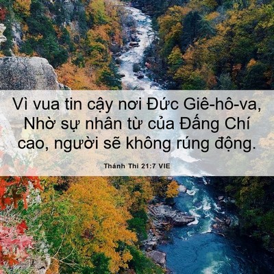 Picture 06 - Thánh Thi 21:7 VIE - Vì vua tin cậy nơi Đức Giê-hô-va, Nhờ - Bible Verse Picture