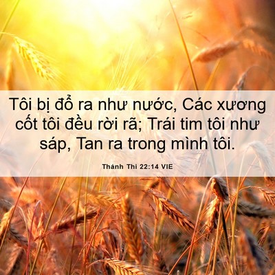Picture 06 - Thánh Thi 22:14 VIE - Tôi bị đổ ra như nước, Các xương - Bible Verse Picture