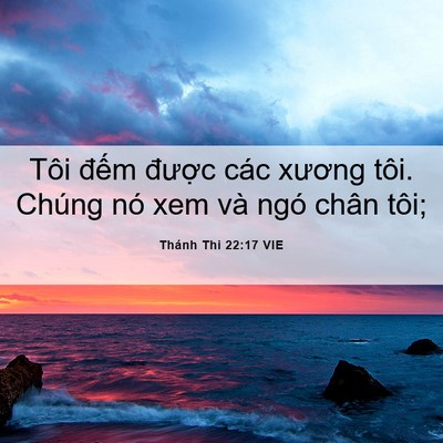 Picture 06 - Thánh Thi 22:17 VIE - Tôi đếm được các xương tôi. Chúng - Bible Verse Picture