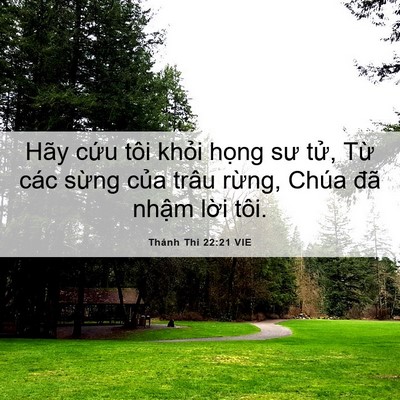 Picture 06 - Thánh Thi 22:21 VIE - Hãy cứu tôi khỏi họng sư tử, Từ các - Bible Verse Picture