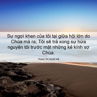 Picture 06 - Thánh Thi 22:25 VIE - Sự ngợi khen của tôi tại giữa hội - Bible Verse Picture
