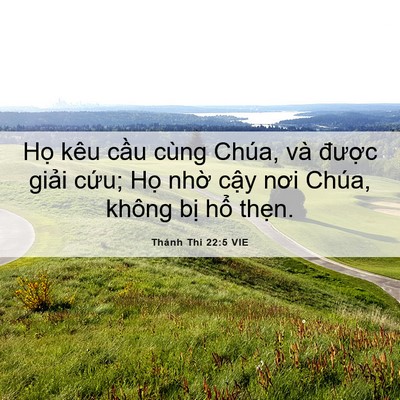 Picture 06 - Thánh Thi 22:5 VIE - Họ kêu cầu cùng Chúa, và được giải - Bible Verse Picture