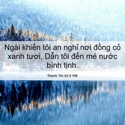 Picture 06 - Thánh Thi 23:2 VIE - Ngài khiến tôi an nghỉ nơi đồng cỏ - Bible Verse Picture