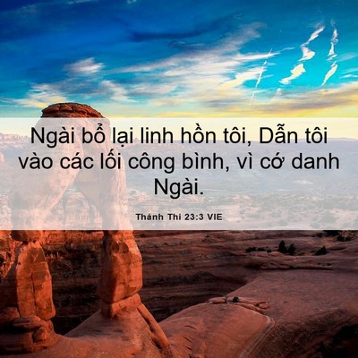 Picture 06 - Thánh Thi 23:3 VIE - Ngài bổ lại linh hồn tôi, Dẫn tôi vào - Bible Verse Picture