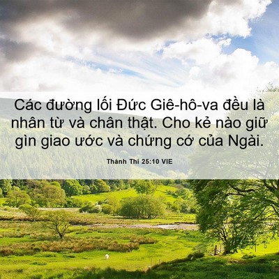 Picture 06 - Thánh Thi 25:10 VIE - Các đường lối Đức Giê-hô-va đều - Bible Verse Picture