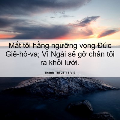 Picture 06 - Thánh Thi 25:15 VIE - Mắt tôi hằng ngưỡng vọng Đức - Bible Verse Picture