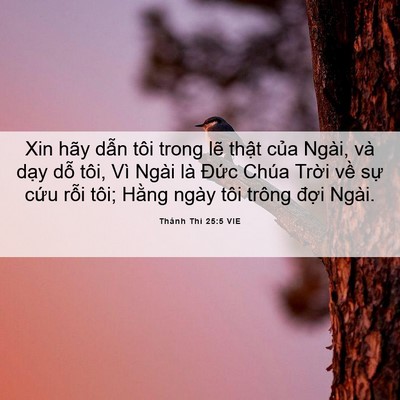 Picture 06 - Thánh Thi 25:5 VIE - Xin hãy dẫn tôi trong lẽ thật của - Bible Verse Picture