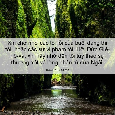 Picture 06 - Thánh Thi 25:7 VIE - Xin chớ nhớ các tội lỗi của buổi - Bible Verse Picture