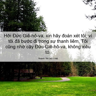 Picture 06 - Thánh Thi 26:1 VIE - Hỡi Đức Giê-hô-va, xin hãy đoán xét - Bible Verse Picture