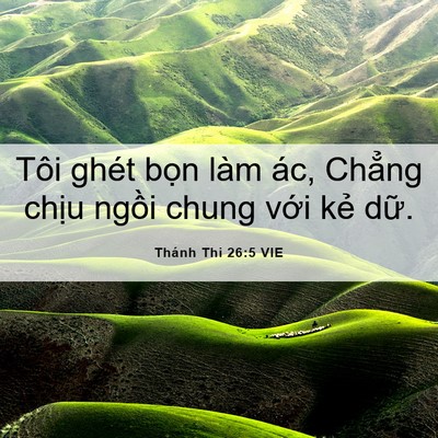 Picture 06 - Thánh Thi 26:5 VIE - Tôi ghét bọn làm ác, Chẳng chịu ngồi - Bible Verse Picture