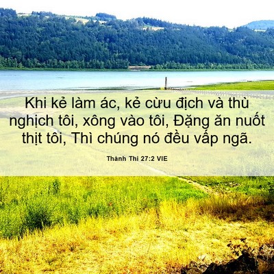 Picture 06 - Thánh Thi 27:2 VIE - Khi kẻ làm ác, kẻ cừu địch và thù - Bible Verse Picture