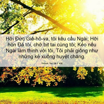 Picture 06 - Thánh Thi 28:1 VIE - Hỡi Đức Giê-hô-va, tôi kêu cầu Ngài; - Bible Verse Picture