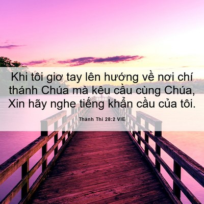 Picture 06 - Thánh Thi 28:2 VIE - Khi tôi giơ tay lên hướng về nơi chí - Bible Verse Picture