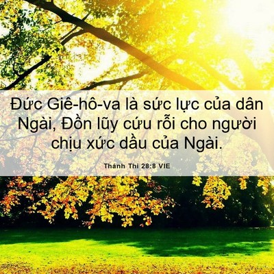 Picture 06 - Thánh Thi 28:8 VIE - Đức Giê-hô-va là sức lực của dân - Bible Verse Picture