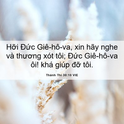 Picture 06 - Thánh Thi 30:10 VIE - Hỡi Đức Giê-hô-va, xin hãy nghe và - Bible Verse Picture