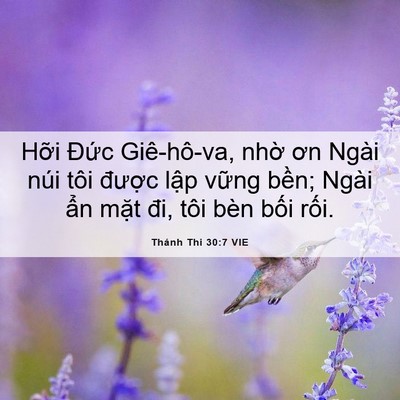 Picture 06 - Thánh Thi 30:7 VIE - Hỡi Đức Giê-hô-va, nhờ ơn Ngài núi - Bible Verse Picture