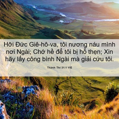 Picture 06 - Thánh Thi 31:1 VIE - Hỡi Đức Giê-hô-va, tôi nương náu mình - Bible Verse Picture