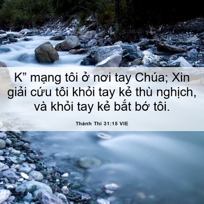 Picture 06 - Thánh Thi 31:15 VIE - K” mạng tôi ở nơi tay Chúa; Xin giải - Bible Verse Picture