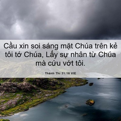Picture 06 - Thánh Thi 31:16 VIE - Cầu xin soi sáng mặt Chúa trên kẻ tôi - Bible Verse Picture