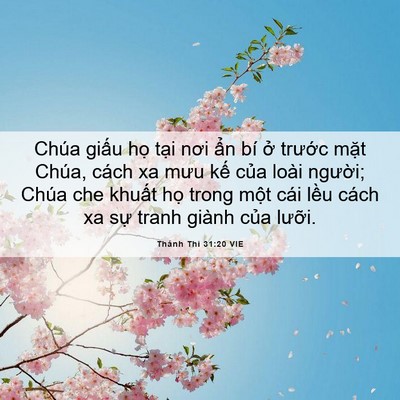 Picture 06 - Thánh Thi 31:20 VIE - Chúa giấu họ tại nơi ẩn bí ở - Bible Verse Picture