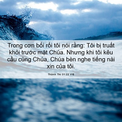 Picture 06 - Thánh Thi 31:22 VIE - Trong cơn bối rối tôi nói rằng: Tôi - Bible Verse Picture