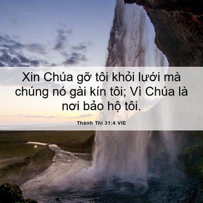 Picture 06 - Thánh Thi 31:4 VIE - Xin Chúa gỡ tôi khỏi lưới mà chúng nó - Bible Verse Picture